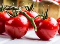 „„CHERRY COCKTAIL