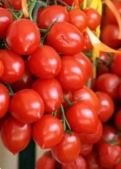 CHERRY PRINCIPE BORGHESE