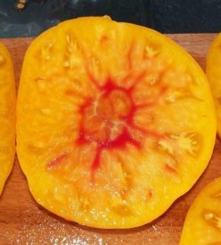 ANANAS (ORGANIC) (OFERTA 100S)