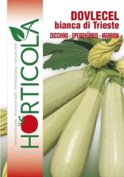 .DOVLECEL /ZUCCHINO BIANCA DI TRIESTE