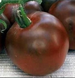 BLACK PRINCE (PRINTUL NEGRU) (OFERTA 90S)