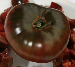 „BLACK FROM TULA-SUA Reimers