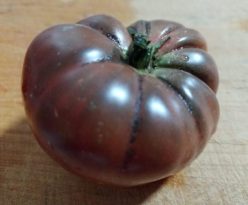 BRANDYWINE BLACK (OFERTA 90S)