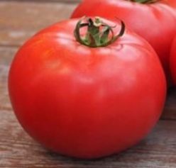 BURPEE`S BIG BOY F1-Seminis.SUA (100s)