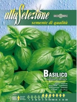 „„BUSUIOC ITALIANO CLASSICO(6g)