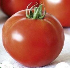 BUZĂU 22-SOI DETERMINAT