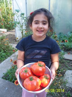 DELICIOUS (SUA) (100s)