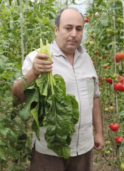 _SPANAC PERMANENT FORDHOOK GIANT