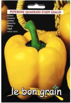 ARDEI GRAS  QUADRATO D'ASTI GIALLO