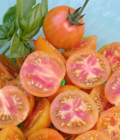 __CHERRY ISIS CANDY 30s - imagine 2