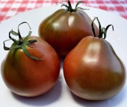 JAPANESE BLACK TRUFFLE