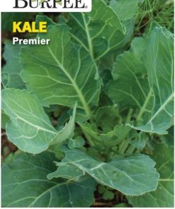 .VARZĂ KALE PREMIER