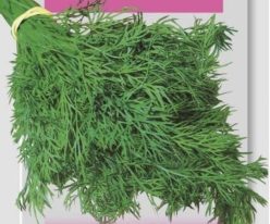 MĂRAR /ANETO - Franchi Sementi (5g)