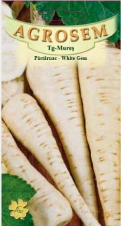 PĂSTÂRNAC WHITE GEM