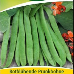 „FASOLE TEENIE-BEANIE/ROTBLUHENDE