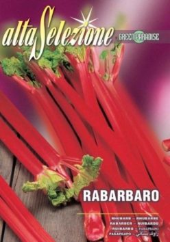 RUBARBA