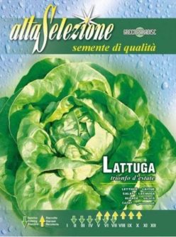 „SALATĂ TRIONFO D'ESTATE