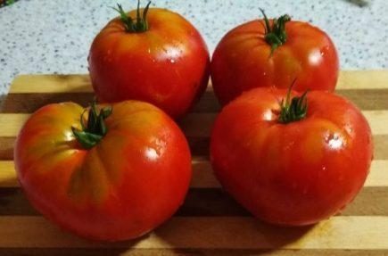 „„SPRINT TIMER -(DAKOTA DE NORD) - imagine 5