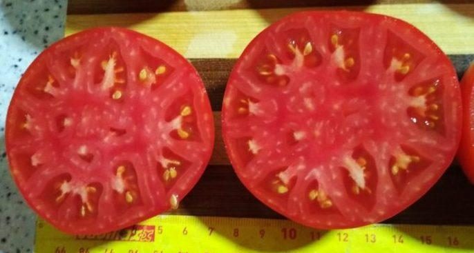 „„SPRINT TIMER -(DAKOTA DE NORD) - imagine 6