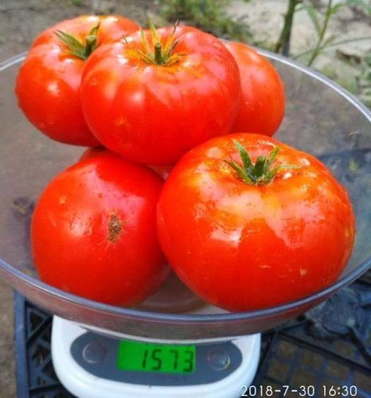 „„SPRINT TIMER -(DAKOTA DE NORD) - imagine 4