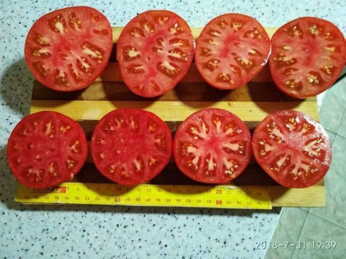 „„SPRINT TIMER -(DAKOTA DE NORD) - imagine 7