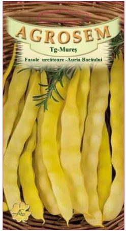 „„Fasole AURIA BACĂULUI (AURIE DE BACĂU) 30g