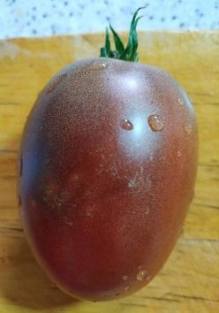 „„UKRAINEAN PURPLE