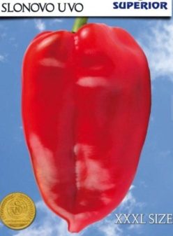 „Ardei kapia URECHI DE ELEFANT /SLONOVO UVO (Serbia)