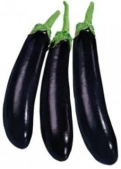 „VINETE VIOLETTA LUNGA