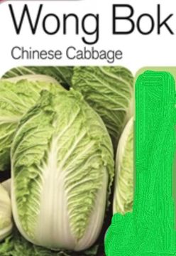 VARZA CHINEZEASCÅ WONG BOK