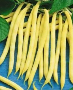 08 FASOLE PITICĂ+MAZĂRE