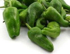 Ardei usor iute PADRON (20s)