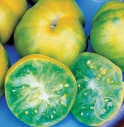 AUNT RUBY'S GERMAN GREEN (Ofertă 2+1 GRATIS)