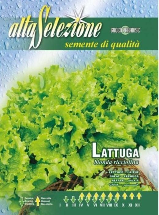 „Salată BIONDA RICCIOLINA 11g