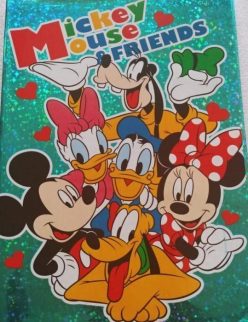 COPERȚI CARTE-CAIET A4