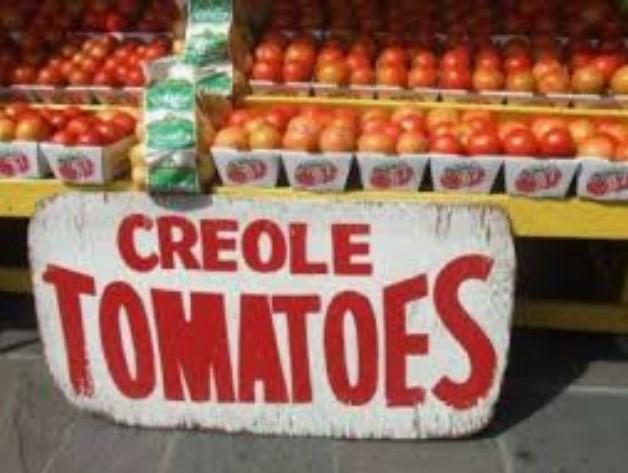 CREOLE (300s) - imagine 5