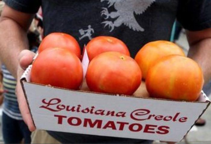 CREOLE (300s) - imagine 9