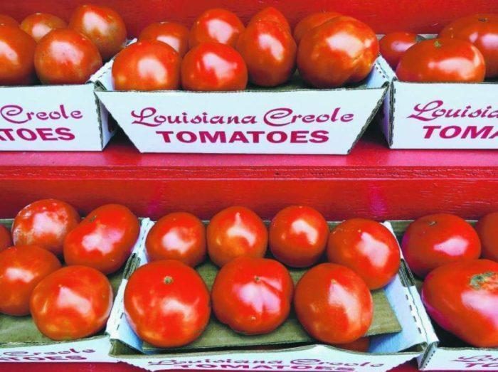 CREOLE (300s) - imagine 11