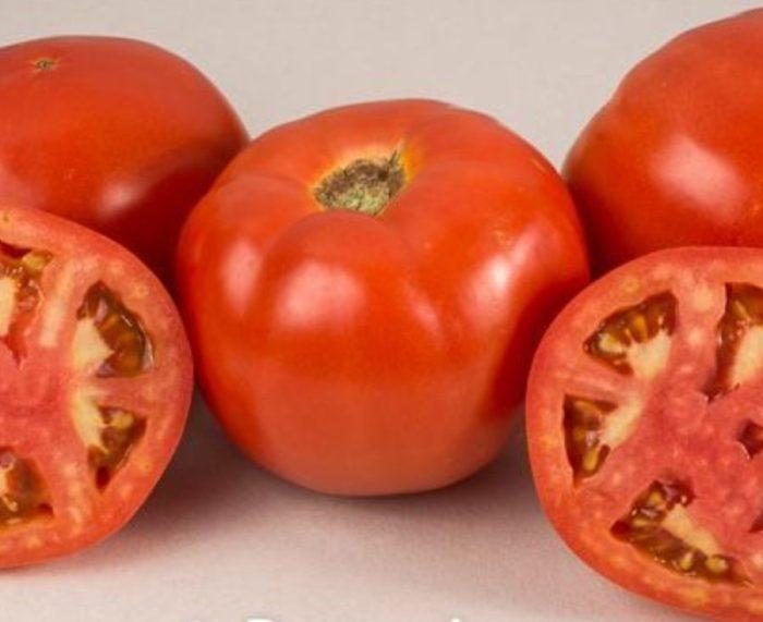 CREOLE (300s) - imagine 7