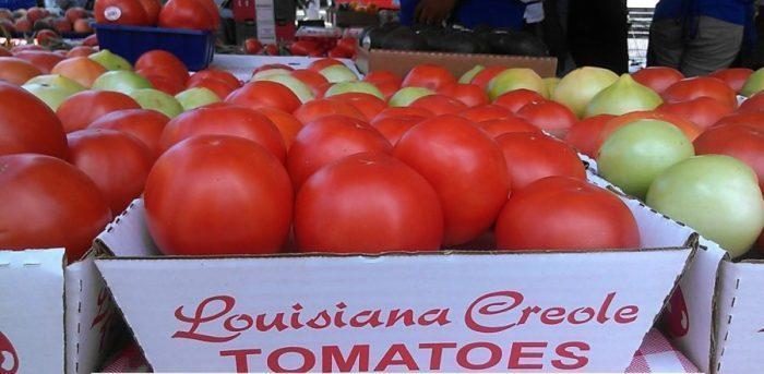 CREOLE (300s) - imagine 10