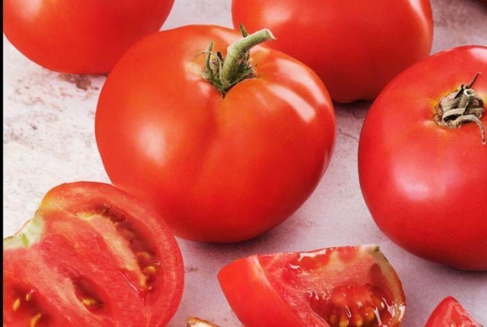 CREOLE (300s) - imagine 12