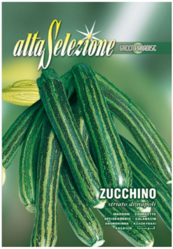 „„DOVLECEL ZUCCHINO STRIATO DI NAPOLI