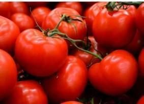 MANAPAL 40s - imagine 2