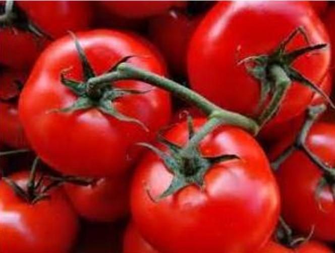 MANAPAL 40s - imagine 3