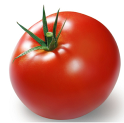 „„OPTIMA F1 -SEMINIS