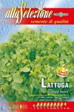 „„SALATĂ  DE TĂIAT SALAD BOWL (OFERTĂ 8000 semințe)