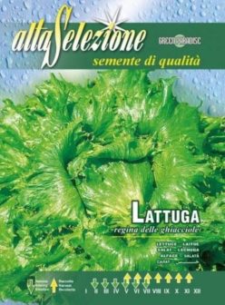 „SALATĂ REGINA DELLE GHIACIOLLE