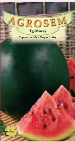 Pepeni verzi SUGAR BABY