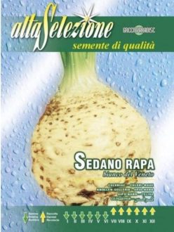 „„Telina de radacina - Bianco del Veneto