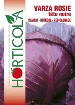 „„Varză rosie - Tete Noire (CABEZA NEGRA )